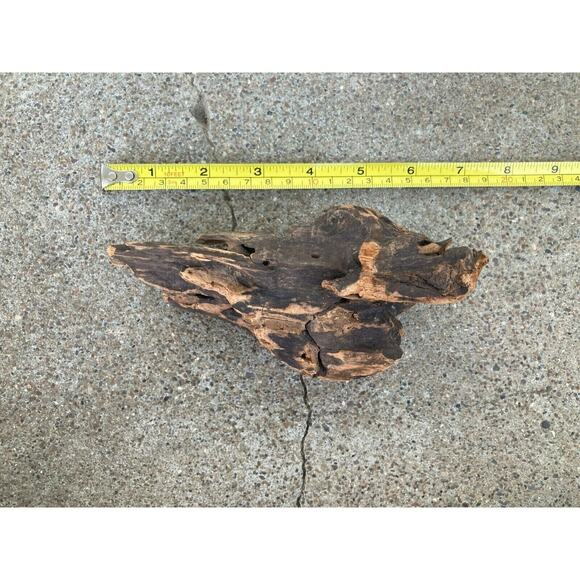 Ohio River Driftwood 6.25"x3.5"x3" - Picture 2 of 3